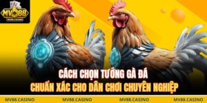 Cách chọn tướng gà đá