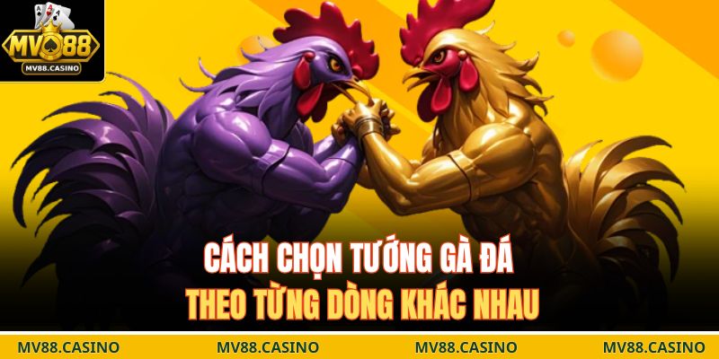 Cách chọn tướng gà đá theo từng dòng khác nhau