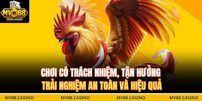 Chơi có trách nhiệm, tận hưởng trải nghiệm an toàn và hiệu quả