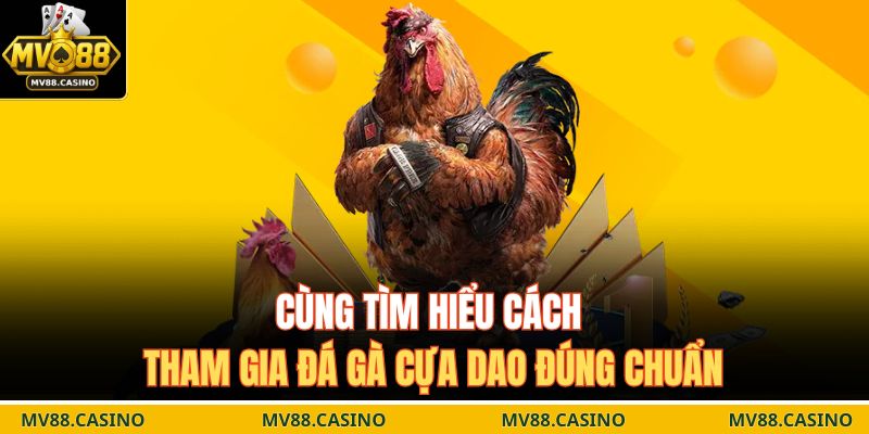 Cùng tìm hiểu cách tham gia đá gà cựa dao đúng chuẩn