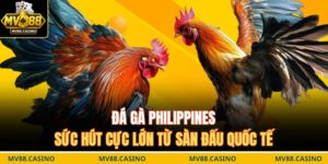 Đá gà Philippines