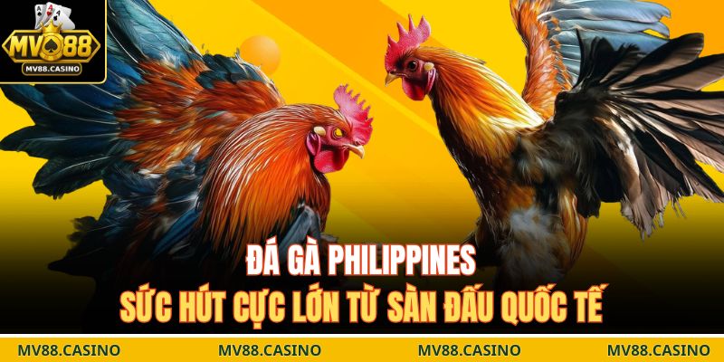 Đá gà Philippines