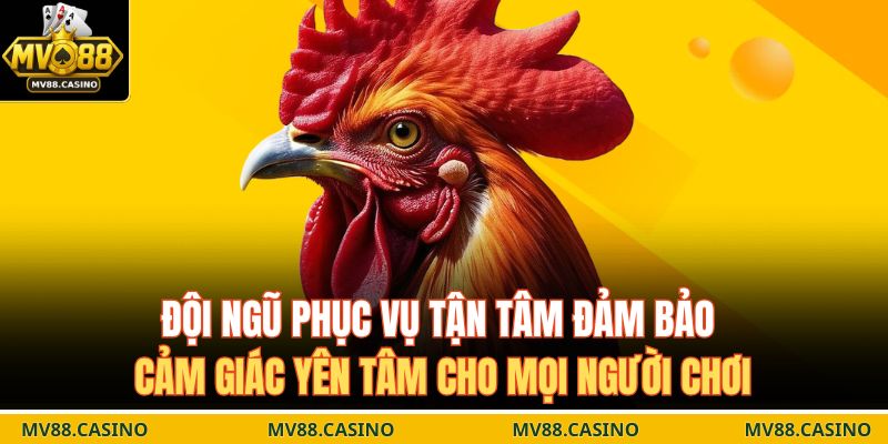 Đội ngũ phục vụ tận tâm đảm bảo cảm giác yên tâm cho mọi người chơi