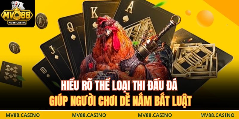 Hiểu rõ thể loại thi đấu đá giúp người chơi dễ nắm bắt luật