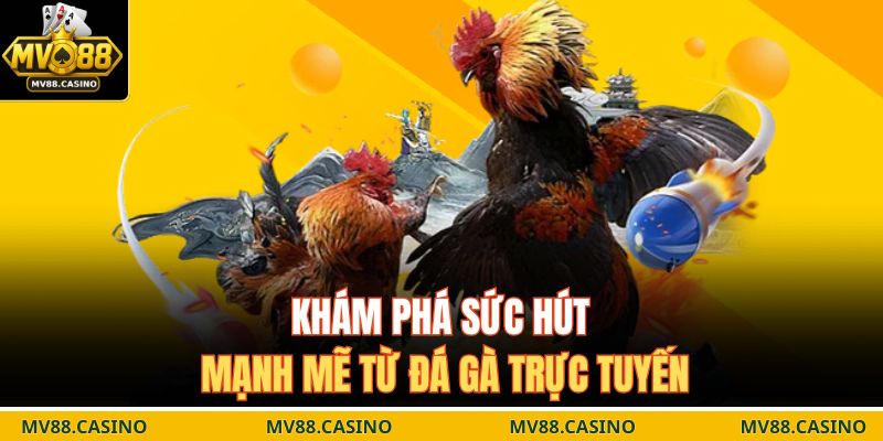 Khám phá sức hút mạnh mẽ từ đá gà trực tuyến