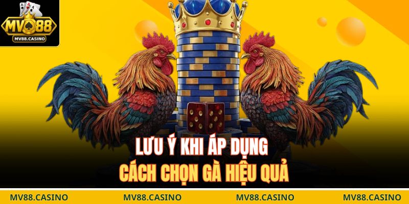 Lưu ý khi áp dụng cách chọn gà hiệu quả
