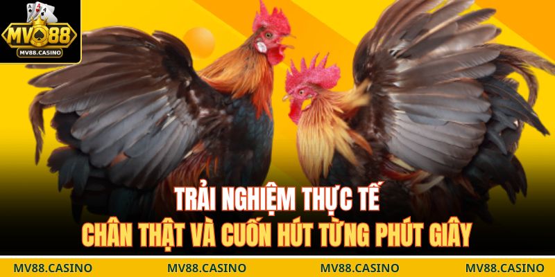 Trải nghiệm thực tế, chân thật và cuốn hút từng phút giây
